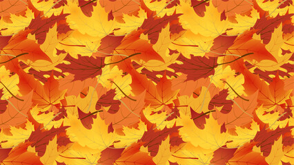Fototapeta premium Foliage in the ground. Autumn fall leaves of maple leaf. seamless pattern vector illustration isolated on white background.