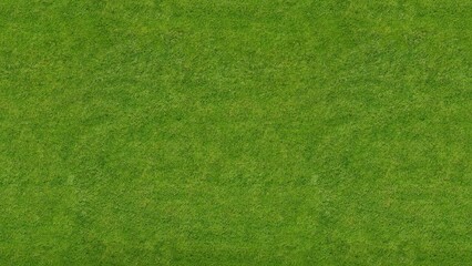 Fototapeta premium Green grass texture background. Top view of grass garden ideal concept used for making green flooring, lawn for training football pitch, grass golf courses green lawn pattern textured background. 