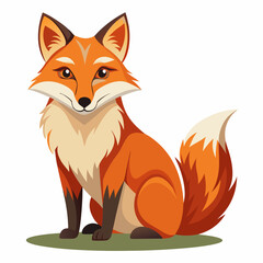 Obraz premium A Sitting Red Fox with a Fluffy Tail