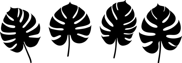 Monstera leaf illustration silhouette