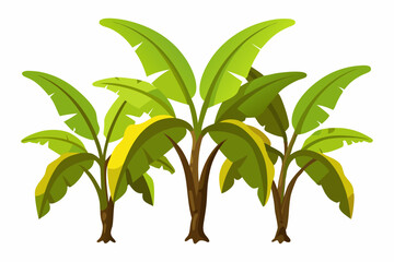 Detailed Vector Illustration of Three Large Banana Plants on White Background