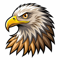 Fototapeta premium Close-up of a Bald Eagle's Head with a Sharp Gaze