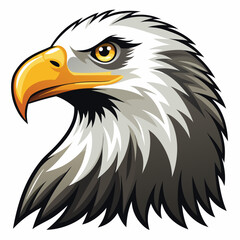 Fototapeta premium Close-up Portrait of a Bald Eagle's Head with Sharp Focus on the Eye