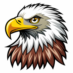 Cartoon Bald Eagle Head with Sharp Features