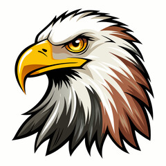 Obraz premium Close-up of a Bald Eagle's Head with Sharp Eyes