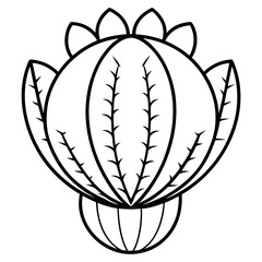 Euphorbia Obesa Baseball Plant Vector line Art