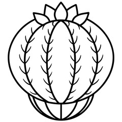 Euphorbia Obesa Baseball Plant Vector line Art