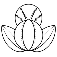 Euphorbia Obesa Baseball Plant Vector line Art