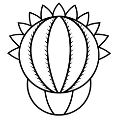 Euphorbia Obesa Baseball Plant Vector line Art