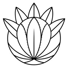 Euphorbia Obesa Baseball Plant Vector line Art