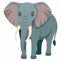 Obraz premium A Gray Elephant with Large Ears and Tusks