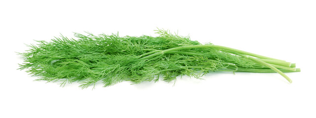 Bunch of fresh dill isolated.