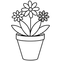 Flowering Potted Plant line art Vector on White Background