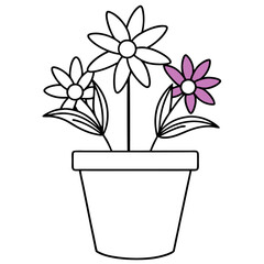 Flowering Potted Plant line art Vector on White Background
