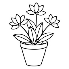 Flowering Potted Plant line art Vector on White Background