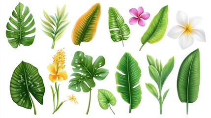 Fototapeta premium Vector realistic illustration set of tropical leaves and flowers isolated on white background. Highly detailed colorful plant collection. Botanical elements for cosmetics, spa, beauty care products