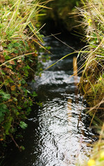 River on the mountain