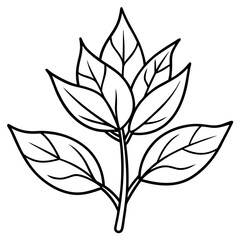 Herbal Plant Art Vector Design