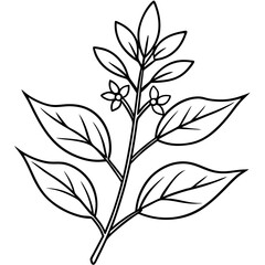 Herbal Plant Art Vector Design