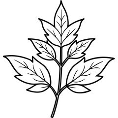 Herbal Plant Art Vector Design