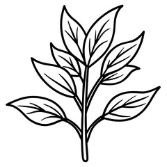 Herbal Plant Art Vector Design