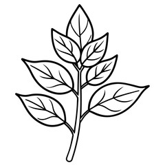 Herbal Plant Art Vector Design