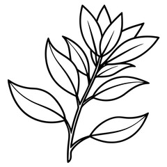 Herbal Plant Art Vector Design