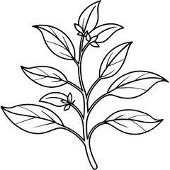Herbal Plant Art Vector Design