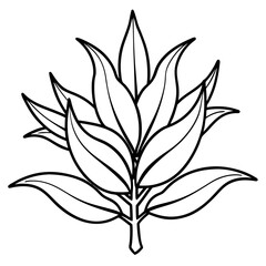 Herbal Plant Art Vector Design