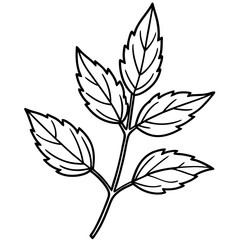 Herbal Plant Art Vector Design