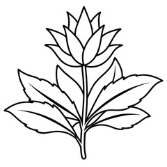 Herbal Plant Art Vector Design