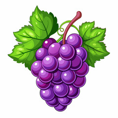 A Cluster of Ripe Purple Grapes with Green Leaves