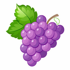 A Bunch of Purple Grapes with a Single Green Leaf