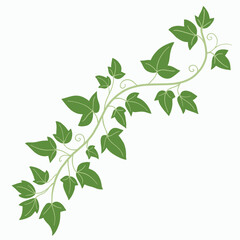 Floral ivy drawing decorative ornament flat design.