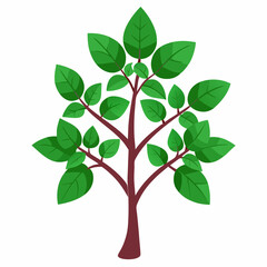 Holy Basil Tree Vector Art