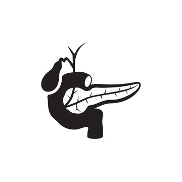 pancreas  icon symbol sign vector