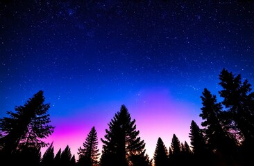 Fototapeta premium Silhouettes of forest trees under starry night violet pink sky. Summer landscape, universe or space, galaxy, stars. Astrophotography. Art wallpaper. 