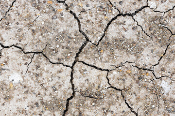 cracked earth dry ground backdrop. gray clay texture background.