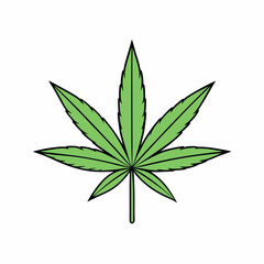 Marijuana Leaf Vector Art on White Background