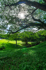a public place leisure travel landscape lake views at Ang Kaew Chiang Mai University and Doi Suthep nature forest Mountain views spring cloudy sky background with white cloud.