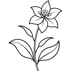 Fototapeta premium Minimalist Flower line art on White Background - Vector Art