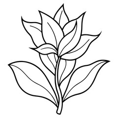 Minimalist Flower line art on White Background - Vector Art