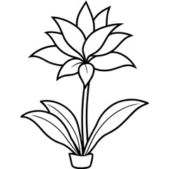Minimalist Flower line art on White Background - Vector Art