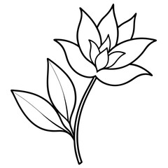 Minimalist Flower line art on White Background - Vector Art