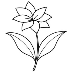 Minimalist Flower line art on White Background - Vector Art