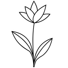 Minimalist Flower line art on White Background - Vector Art