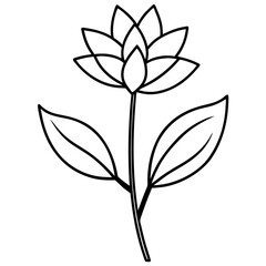 Minimalist Flower line art on White Background - Vector Art