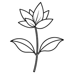 Minimalist Flower line art on White Background - Vector Art