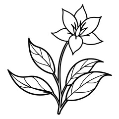 Minimalist Flower line art on White Background - Vector Art