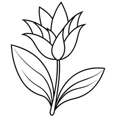 Minimalist Flower line art on White Background - Vector Art